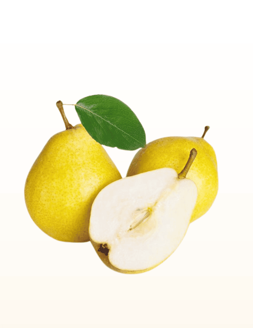 Poire Guyot